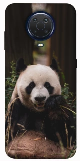 Чохол на Nokia G20 / G10 / 6.3 Панда фото 1 з 1