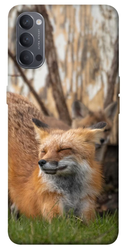 Чехол на Oppo Reno 4 Лиса фото 1 из 1