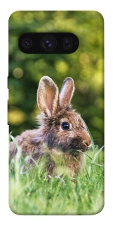Чехол на Google Pixel 8 Pro Кролики фото 1 из 1