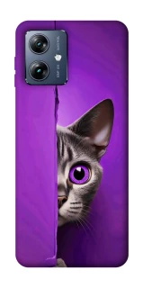 Чохол на Motorola Moto G54 Power Кіт-підглядач фото 1 з 1