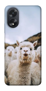Чехол на Oppo A18 Лама фото 1 из 1