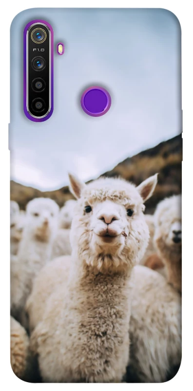 Чохол на Realme 5 Лама фото 1 з 1