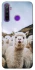 Чохол на Realme 5 Лама фото 1 з 1