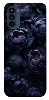 Чохол на Motorola Moto G41 Sunny Snowdrops фото 1 з 1