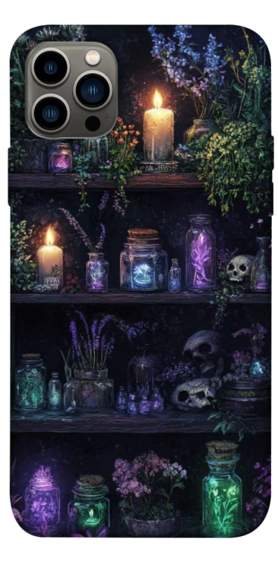 Чохол на Apple iPhone 12 Pro (6.1") Magic shelf ver.1 фото 1 з 1