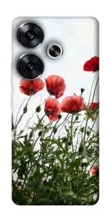 Чохол на Xiaomi Poco F6 Поле маків фото 1 з 1