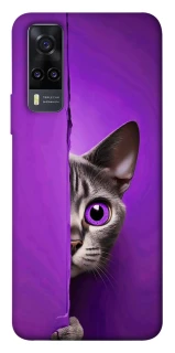 Чохол на Vivo Y31 Кіт-підглядач фото 1 з 1