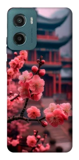 Чехол на Motorola Moto G06 Flowers v29 фото 1 из 1