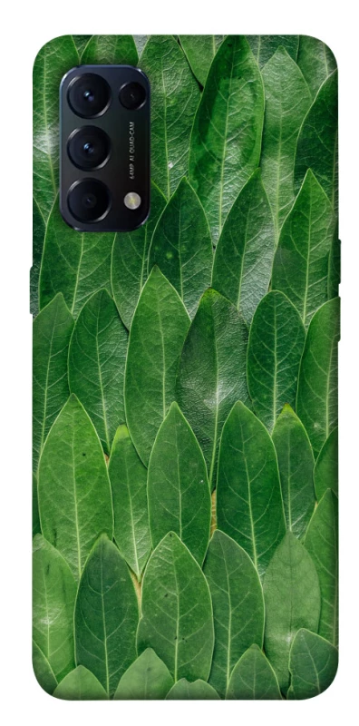 Чохол на Oppo Reno 5 4G Листя фото 1 з 1