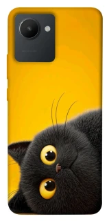 Чохол на Realme C30s This is Cat фото 1 з 1