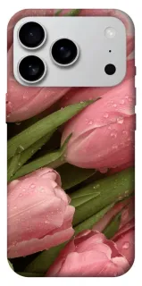 Чехол на Apple iPhone 18 Pro Max Beauty фото 1 из 2