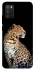 Чехол на Samsung Galaxy A02s Leopard v2 фото 1 из 1