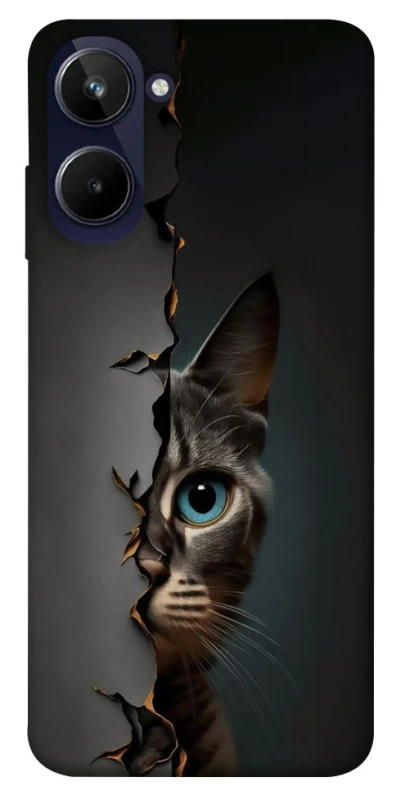 Чохол на Realme 10 4G Кіт-підглядач v2 фото 1 з 1