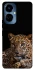 Чехол на TECNO Camon 19 Pro Leopard v4 фото 1 из 1