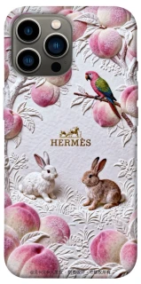 Чехол на Apple iPhone 13 Pro Max (6.7") Hermes фото 1 из 1