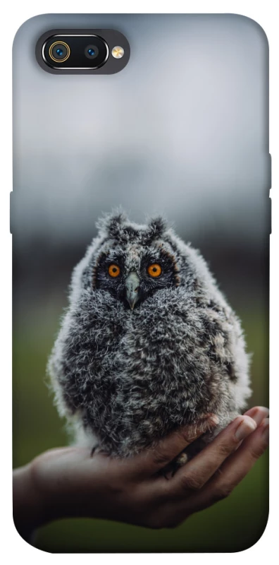 Чохол на Realme C2 Совеня фото 1 з 1