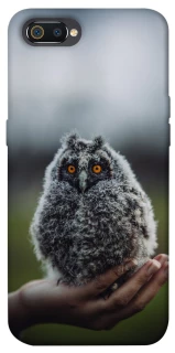 Чохол на Realme C2 Совеня фото 1 з 1