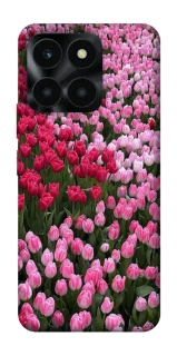 Чохол на Huawei Honor X6a Flowers v9 фото 1 з 1