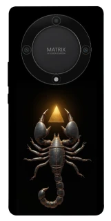 Чехол на Huawei Magic5 Lite Scorpio with Golden Triangle фото 1 из 1