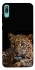 Чехол на Huawei Y6 Pro (2019) Leopard v4 фото 1 из 1