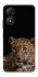 Чохол на ZTE Blade A34 4G Leopard v4 фото 1 з 1