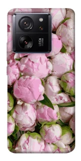 Чохол на Xiaomi 13T Nature’s Elegance фото 1 з 1