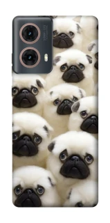 Чохол на Motorola Moto G85 Doggy Pug Love фото 1 з 1
