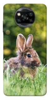 Чехол на Xiaomi Poco X3 NFC / Poco X3 Pro Кролики фото 1 из 1