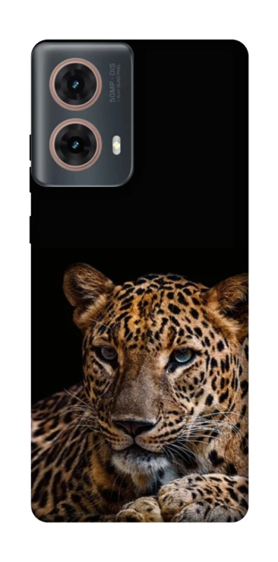 Чохол на Motorola Moto G85 Leopard v4 фото 1 з 1