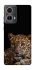 Чохол на Motorola Moto G85 Leopard v4 фото 1 з 1