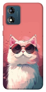 Чохол на Motorola Moto E13 Сat with glasses фото 1 з 1