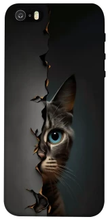 Чехол на Apple iPhone 5/5S/SE Кот-подглядыватель v2 фото 1 из 1