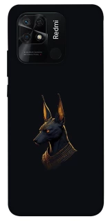Чехол на Xiaomi Redmi 10C Anubis фото 1 из 1