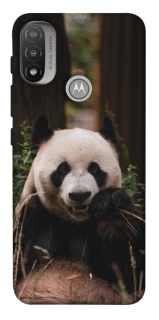 Чохол на Motorola Moto E20 Панда фото 1 з 1