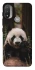 Чохол на Motorola Moto E20 Панда фото 1 з 1