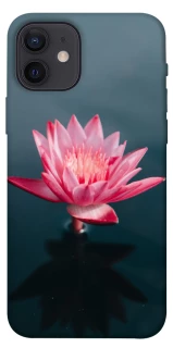 Чехол на Apple iPhone 12 (6.1") Лотос фото 1 из 1