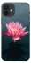 Чехол на Apple iPhone 12 (6.1") Лотос фото 1 из 1