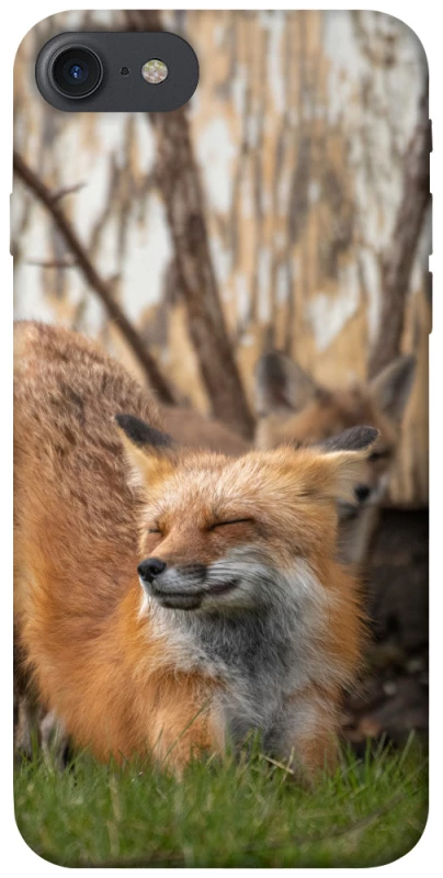 Чохол на Apple iPhone 7 / 8 (4.7") Лисиця фото 1 з 1