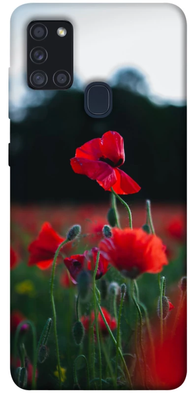 Чехол на Samsung Galaxy A21s Мак фото 1 из 1