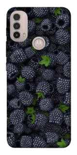 Чохол на Motorola Moto E40 Fresh фото 1 з 1