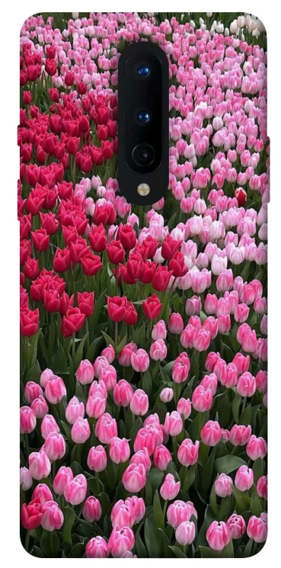 Чохол на OnePlus 8 Flowers v9 фото 1 з 1