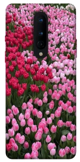 Чохол на OnePlus 8 Flowers v9 фото 1 з 1