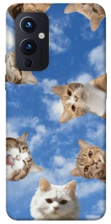 Чехол на OnePlus 9 Сats фото 1 из 1