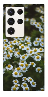 Чехол на Samsung Galaxy S23 Ultra Ромашки v13 фото 1 из 1