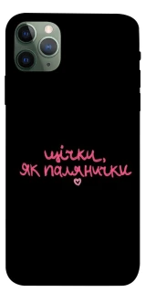 Чохол на Apple iPhone 11 Pro Max (6.5") Щічки, як палянички фото 1 з 1
