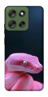 Чехол на Motorola Moto G56 5G Розовая Змея фото 1 из 1