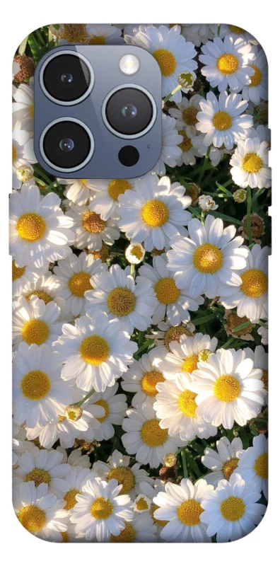Чехол на Apple iPhone 16 Pro Max Поле ромашек фото 1 из 1