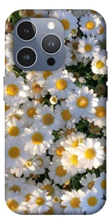 Чохол на Apple iPhone 16 Pro Max Поле ромашок фото 1 з 1
