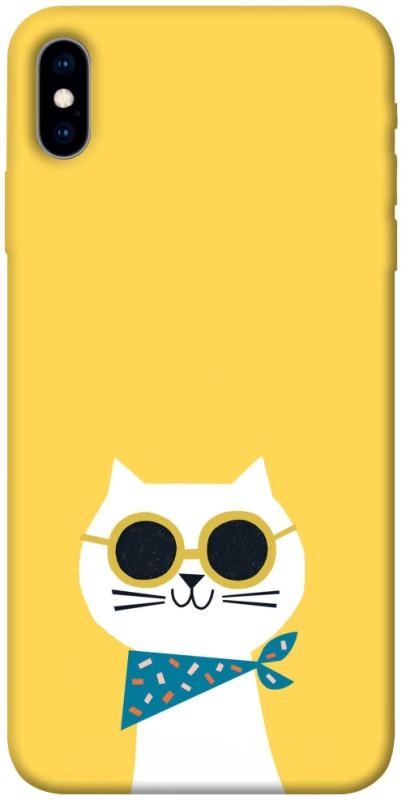 Чехол на Apple iPhone X (5.8") Кот-муркот фото 1 из 1