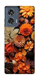 Чохол на Motorola Edge 50 Dreams фото 1 з 1